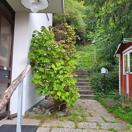 Regio Basiliensis Apartment *