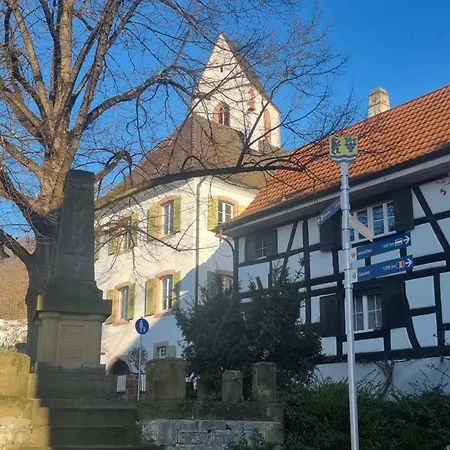 Regio Basiliensis Grenzach-Wyhlen