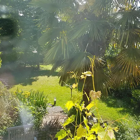 Regio Basiliensis * Grenzach-Wyhlen