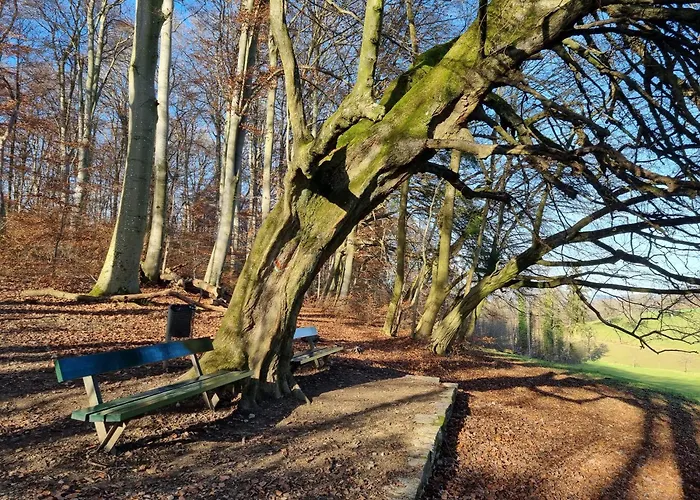 Апартаменты Regio Basiliensis Гренцах-Вилен