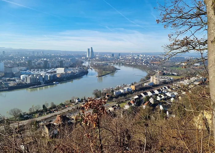 Regio Basiliensis Lägenhet Grenzach-Wyhlen
